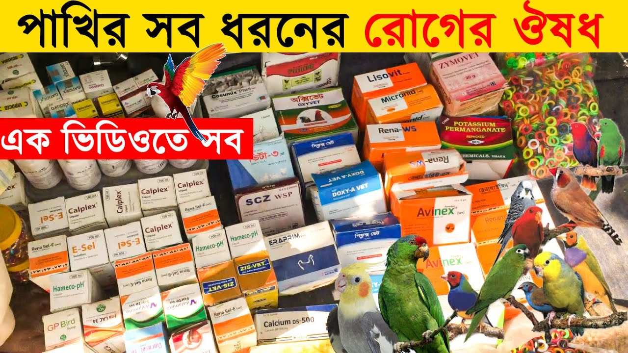 পাখির সব ধরনের রোগের ঔষধ🦜এক ভিডিওতে 💊 All Birds Medicine Bangla💉 Pets Haat