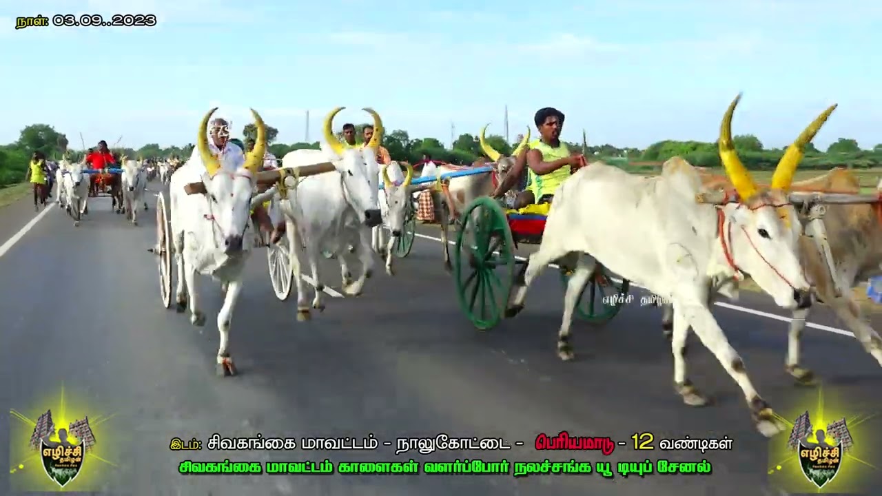 naalukottai panthaym - 03.09.2023