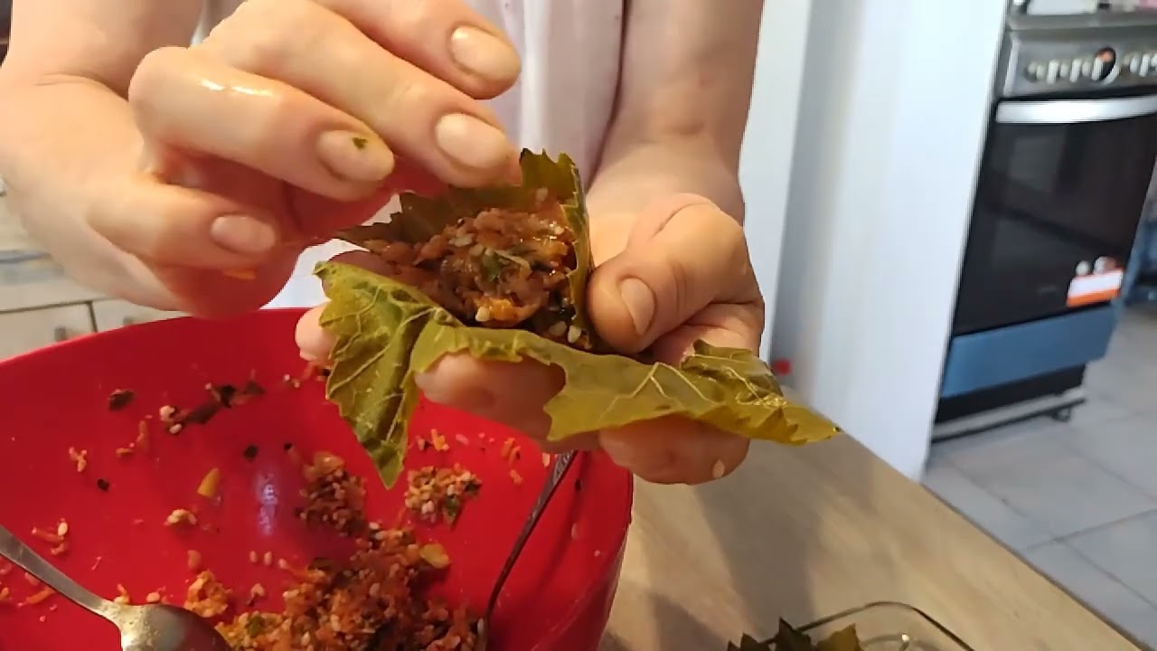 sarmale  Dolma dolmadakia  gefüllte Weinblätter.   stuffed grape leaves