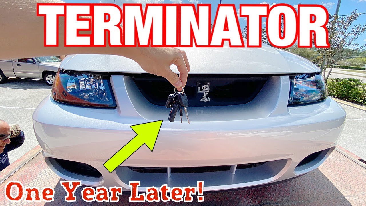 I Bought MY DREAM CAR - 2003 SVT COBRA - One Year Review!
