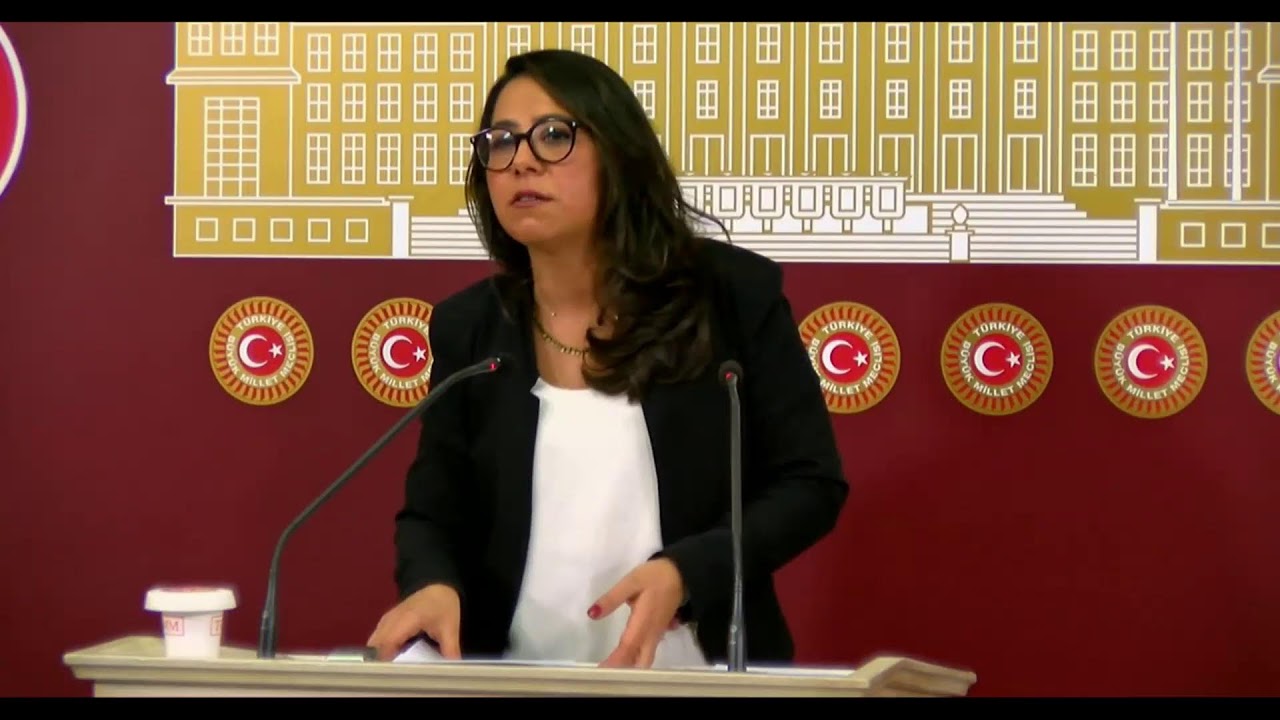 Parti Sözcümüz Sera Kadıgil'in Basın Toplantısı