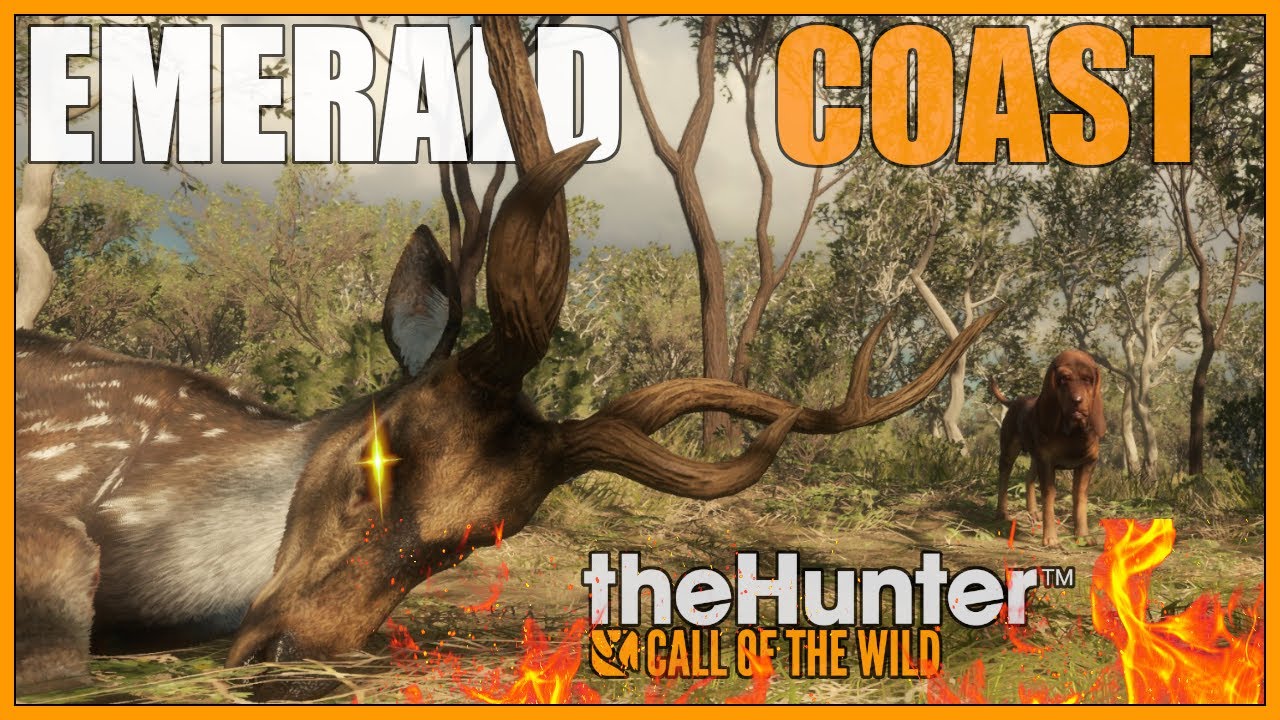 Po prostu Australia - theHunter: Call of the Wild