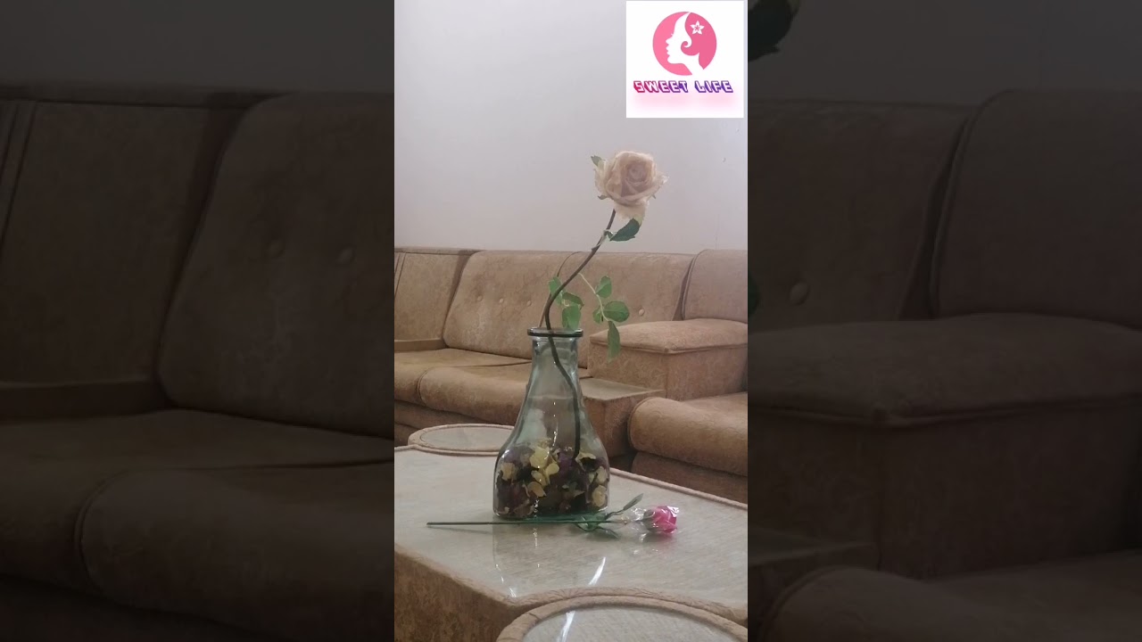 تجربتي مع كورونا وازاي اتعافيت منها بفضل الله - الحياه حلوة ❤️