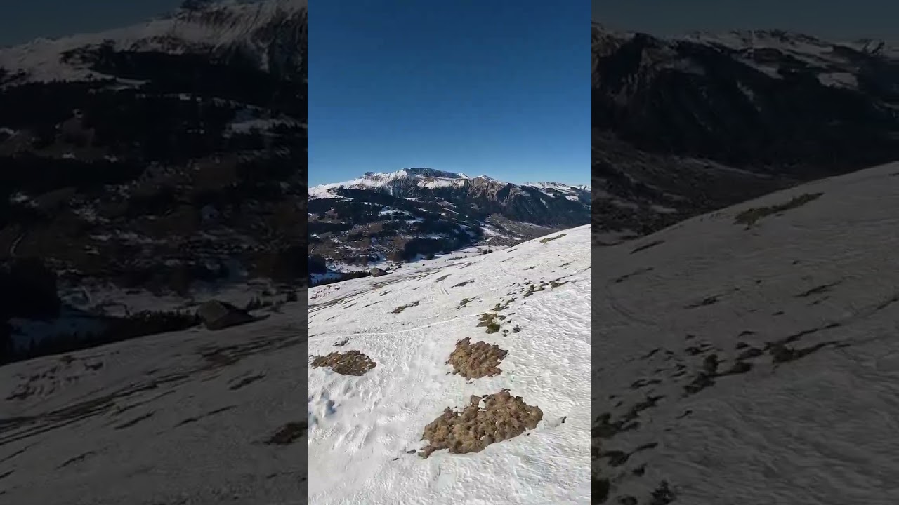 Speedflying Lenk
