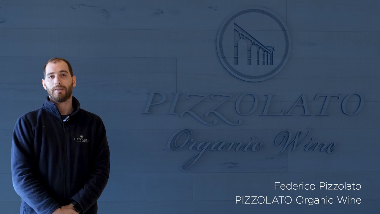 Cantina Pizzolato e AROL: partnership vincente per l'eccellenza del vino biologico