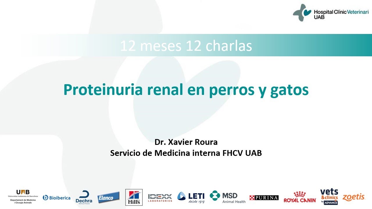 12 Meses 12 Charlas. Proteinuria renal en perros y gatos