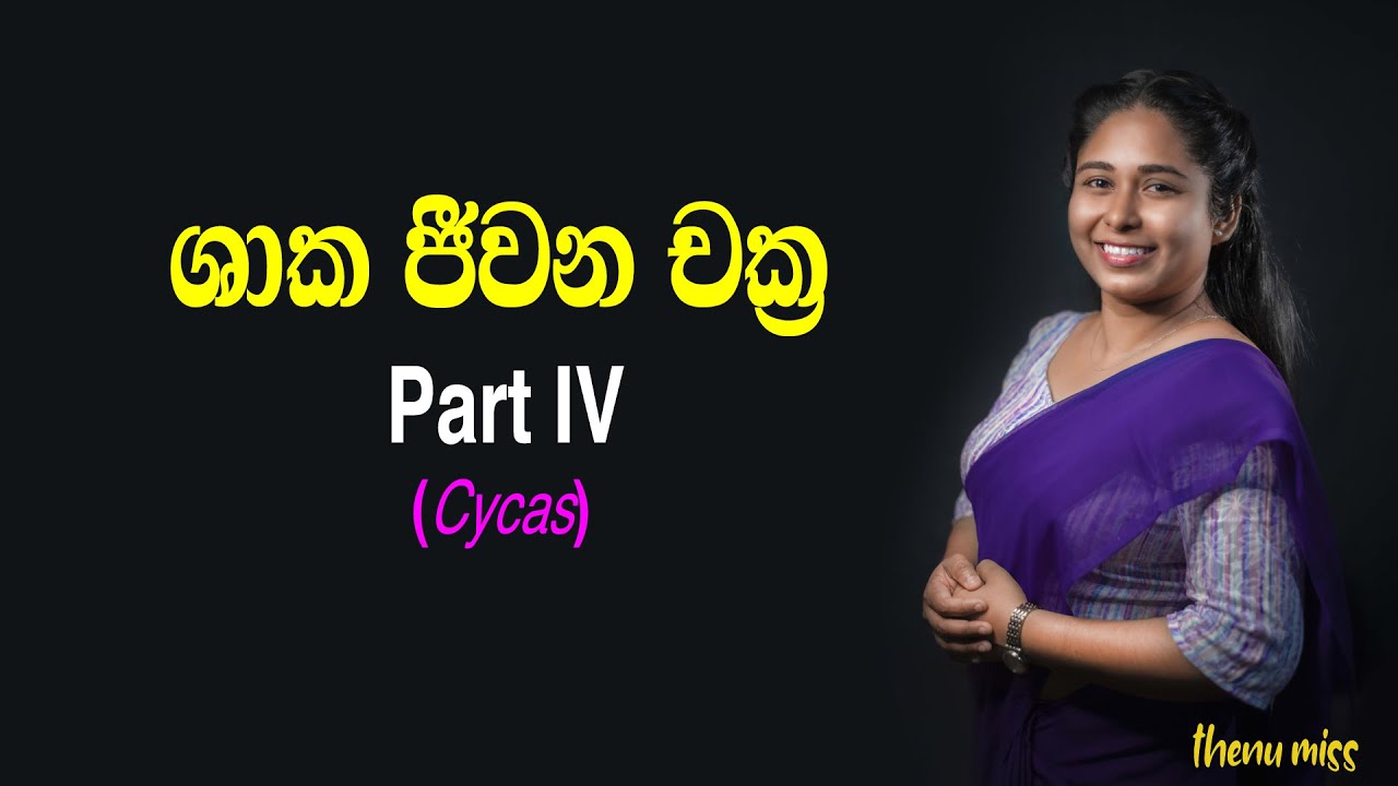 ශාක ජීවන චක්‍ර | Shaaka Jeewanachakra | Plant life cycles | Episode 04 | Cycas | Thenu miss