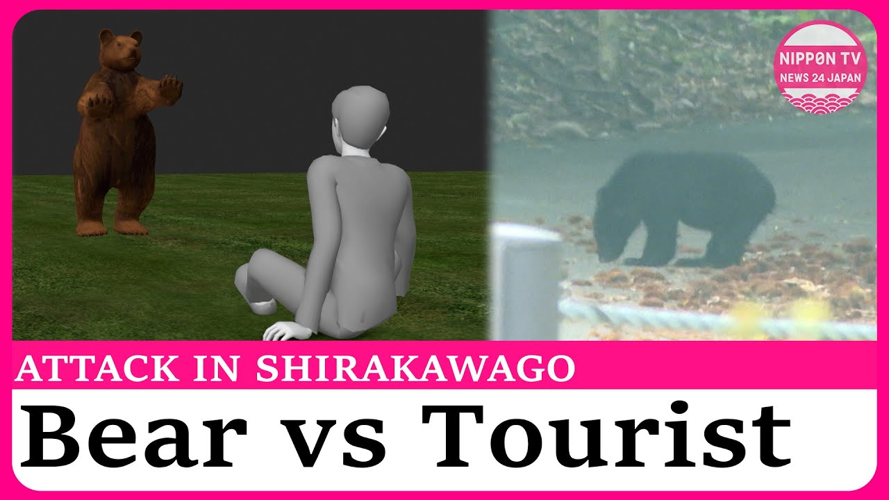 Spanish tourist attacked by bear in Shirakawago