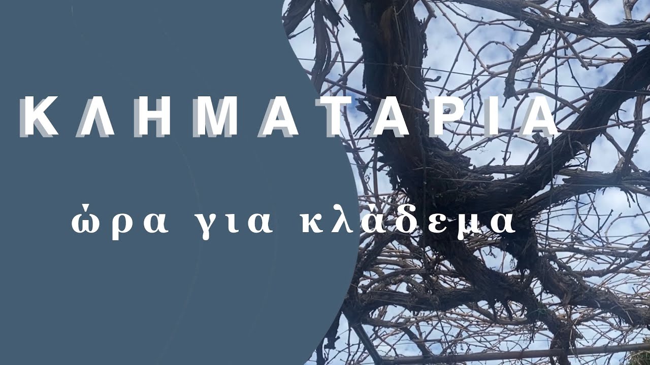 ΚΛΗΜΑΤΑΡΙΑ - Η ώρα του κλαδέματος