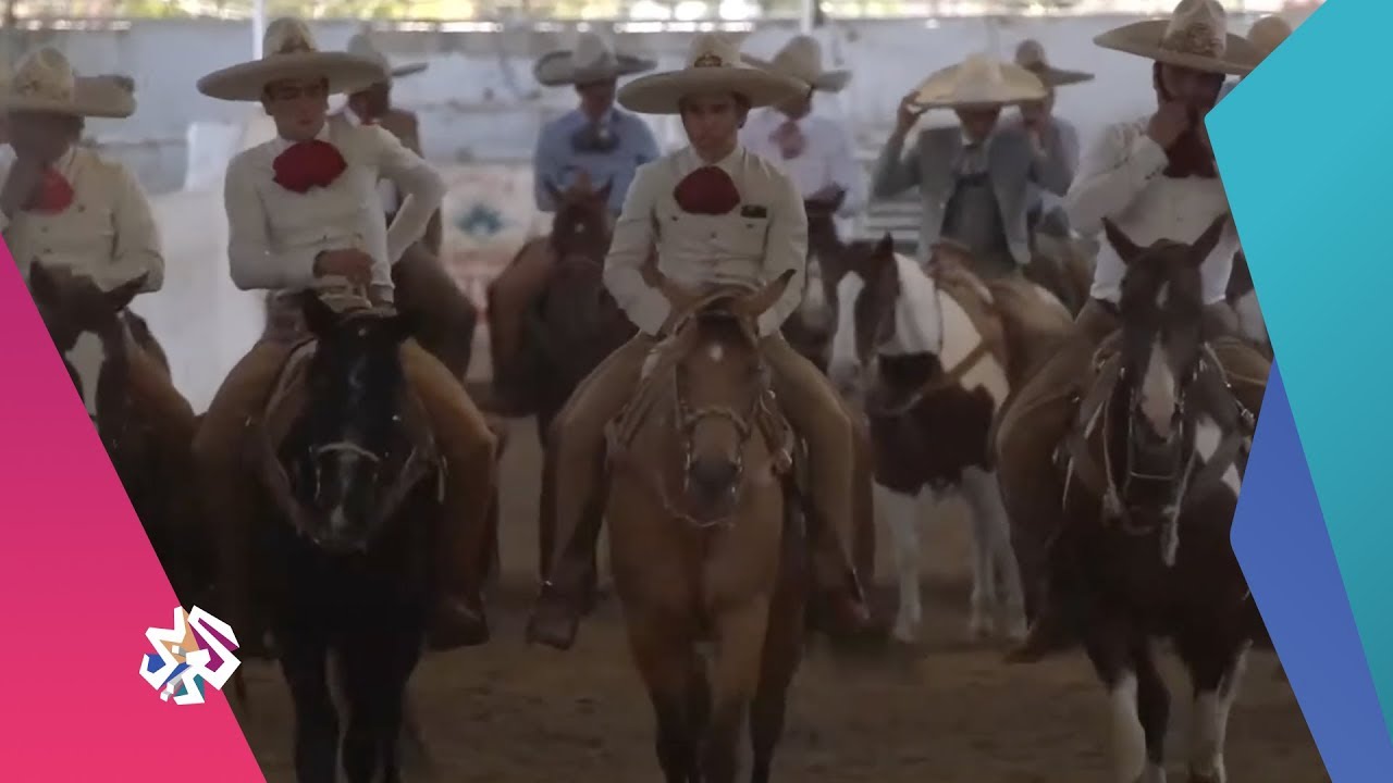 صباح النور | 