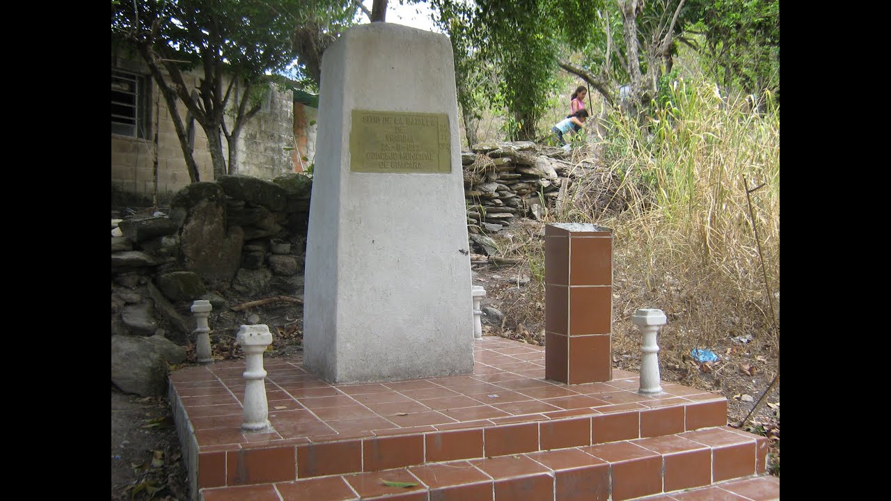 La ringlera pétrea de Vigirima: ¿sitio de batalla independentista?