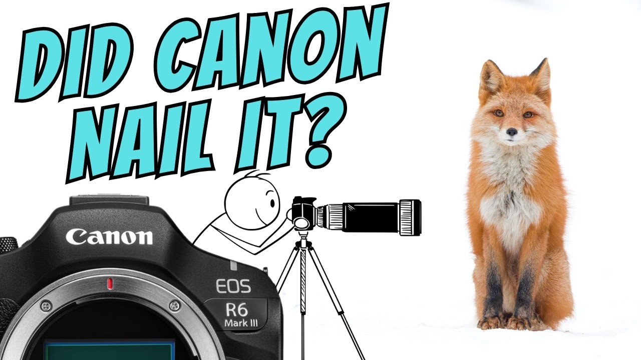 Canon R6 Mark III: Canon Finally Nailed It?