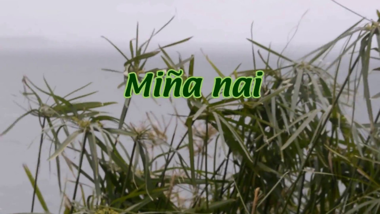 MIÑA NAI