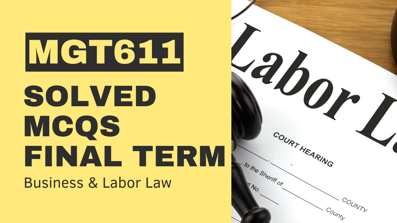 MGT611 Final Term Past Paper[Solved MCQs]