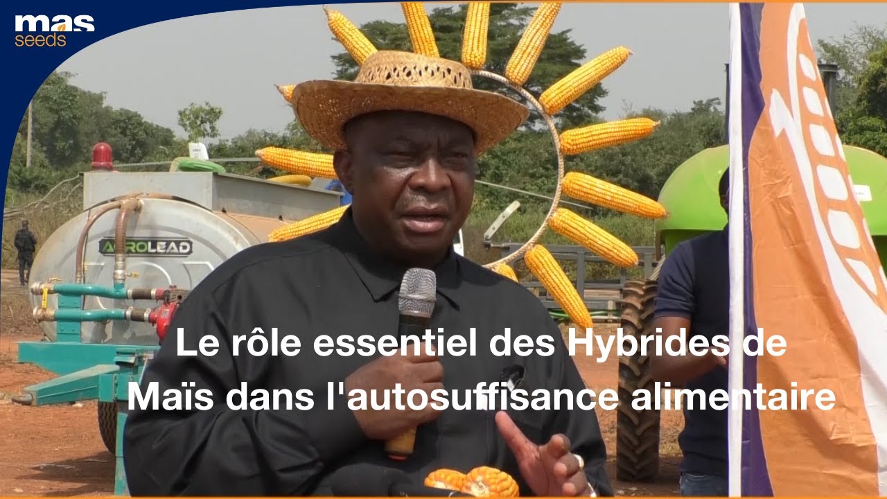 Le rôle essentiel des Hybrides de Maïs dans l'Autosuffisance Alimentaire
