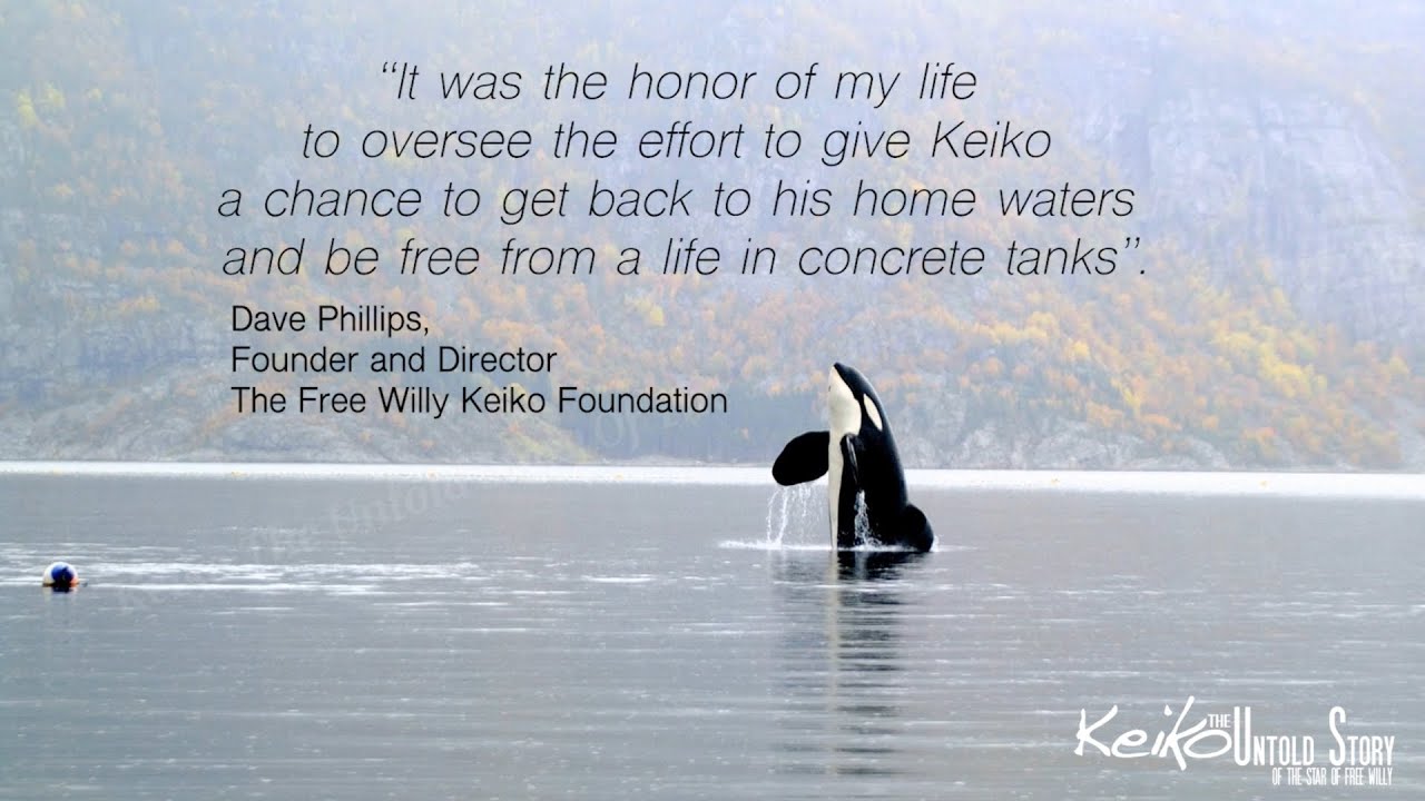 Commemorating Keiko, the star of 