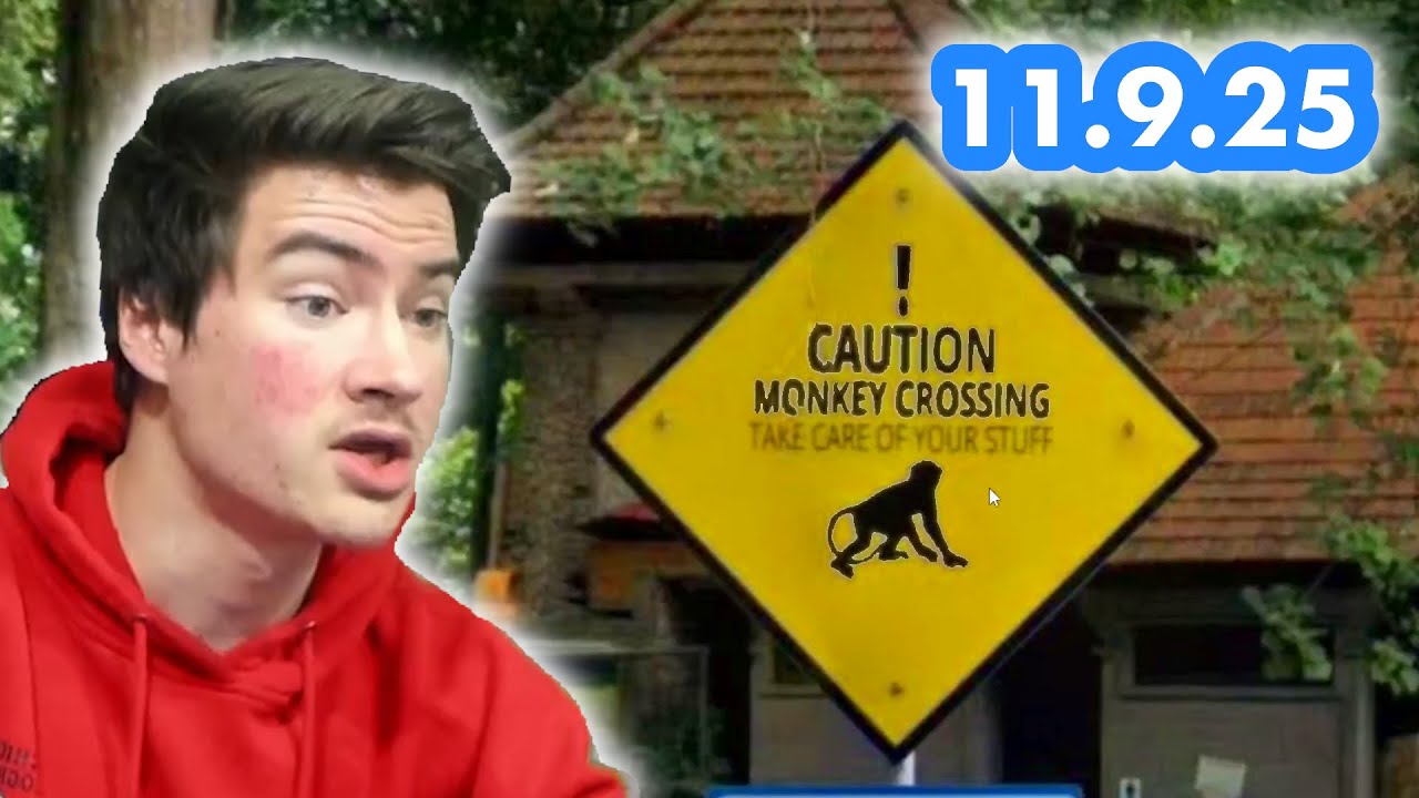 monkey see monkey do (geonections 11/9/25)