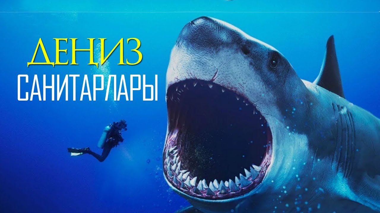 Деңизди тазалаган балык