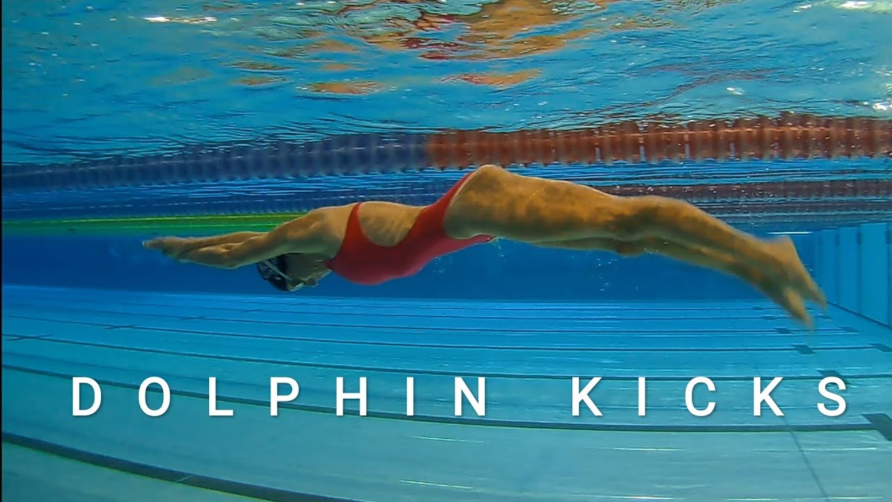 flip turn / freestyle swimming/ dolphin kicks/ gliding