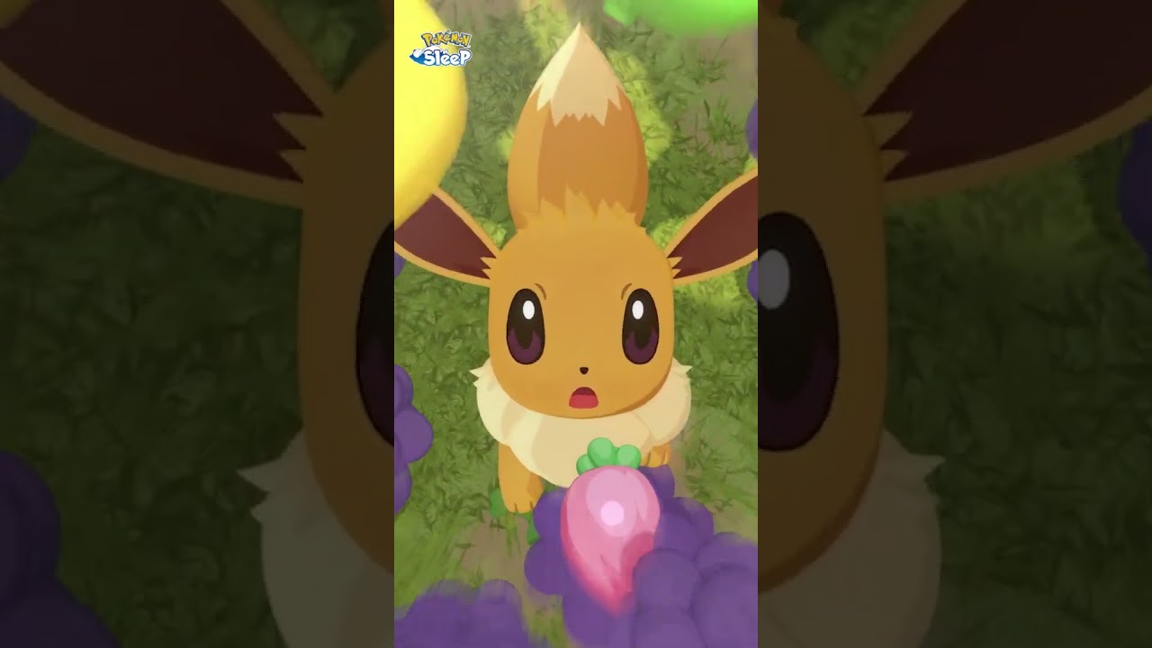 S’endormir avec Nymphali | Pokémon Sleep