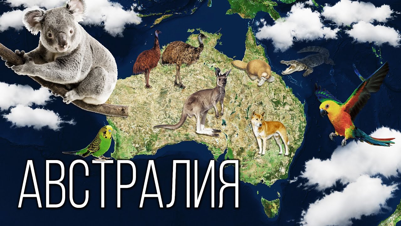 Материк Австралия: Самый Маленький Континент на Планете Земля | Интересные факты про Австралию