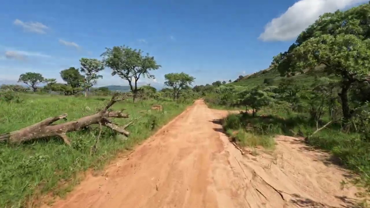Kruger Safari relaxing classical music video. Take a relaxing drive through Kruger Park South Africa
