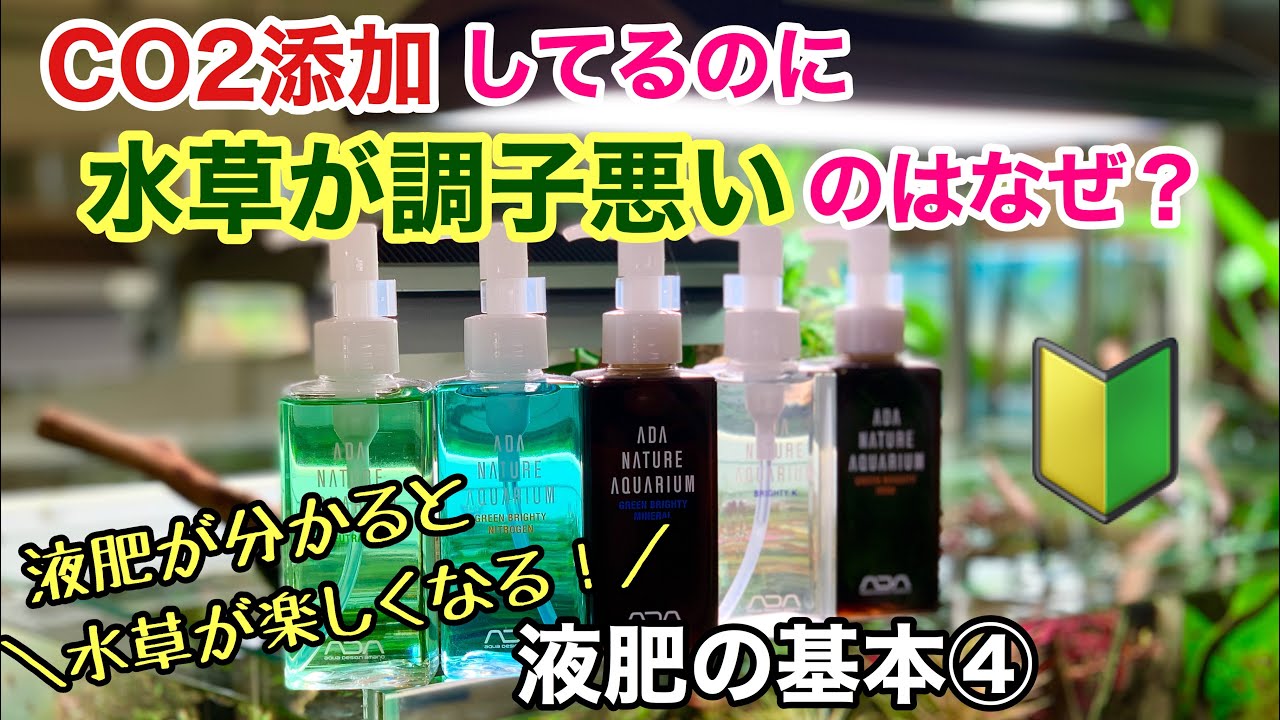 水草水槽の液肥の基本④「栄養不足の見極め方」ADAネイチャーアクアリウム立ち上げ初心者、液体肥料添加方法、固形肥料で有茎草グリーンロタラ、インディカ、HRA、前景草グロッソスティグマのCO2添加で育成