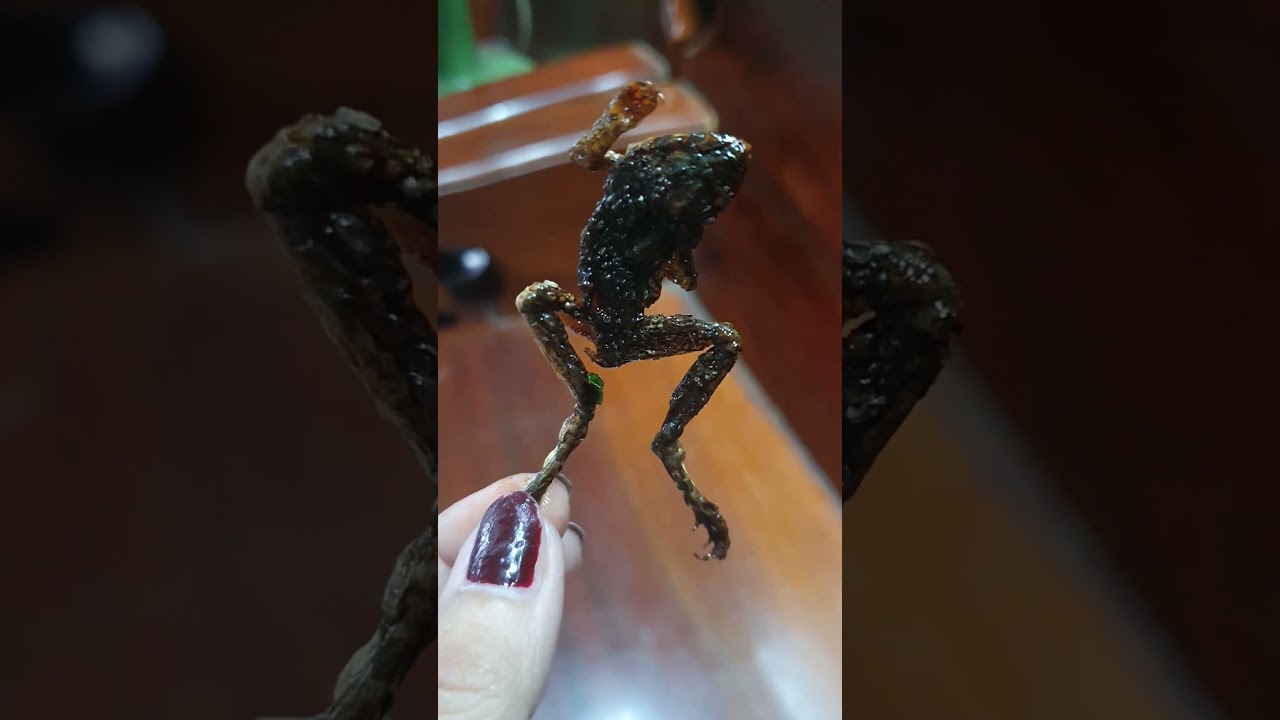 Ka lorn Torn - fried little frog - local food
