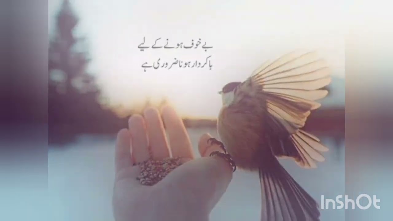 Sunehry Alfaaz || Anmol Alfaaz || Deep Urdu quotes || Motivational qoutes