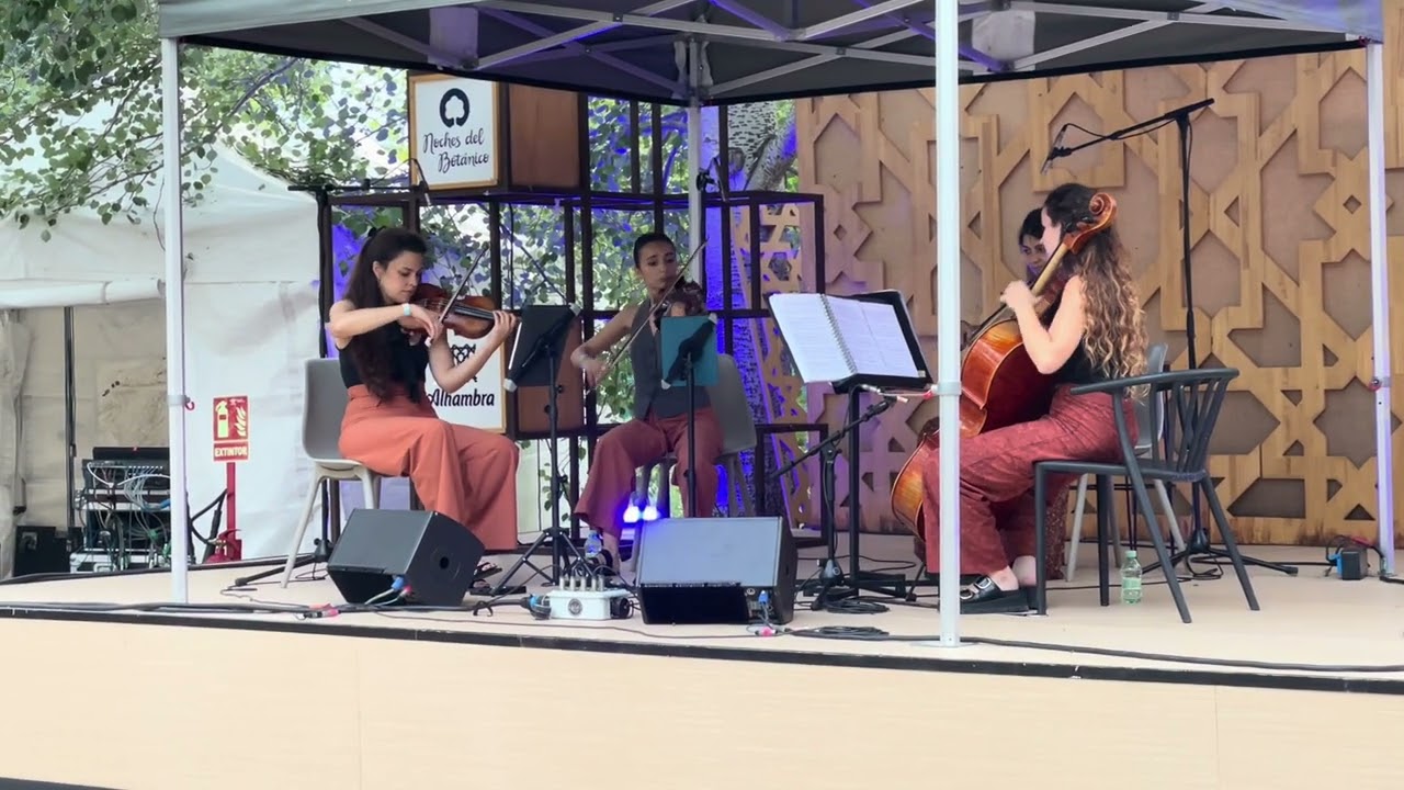 Sweet child o'mine (Guns N'Roses) String Quartet