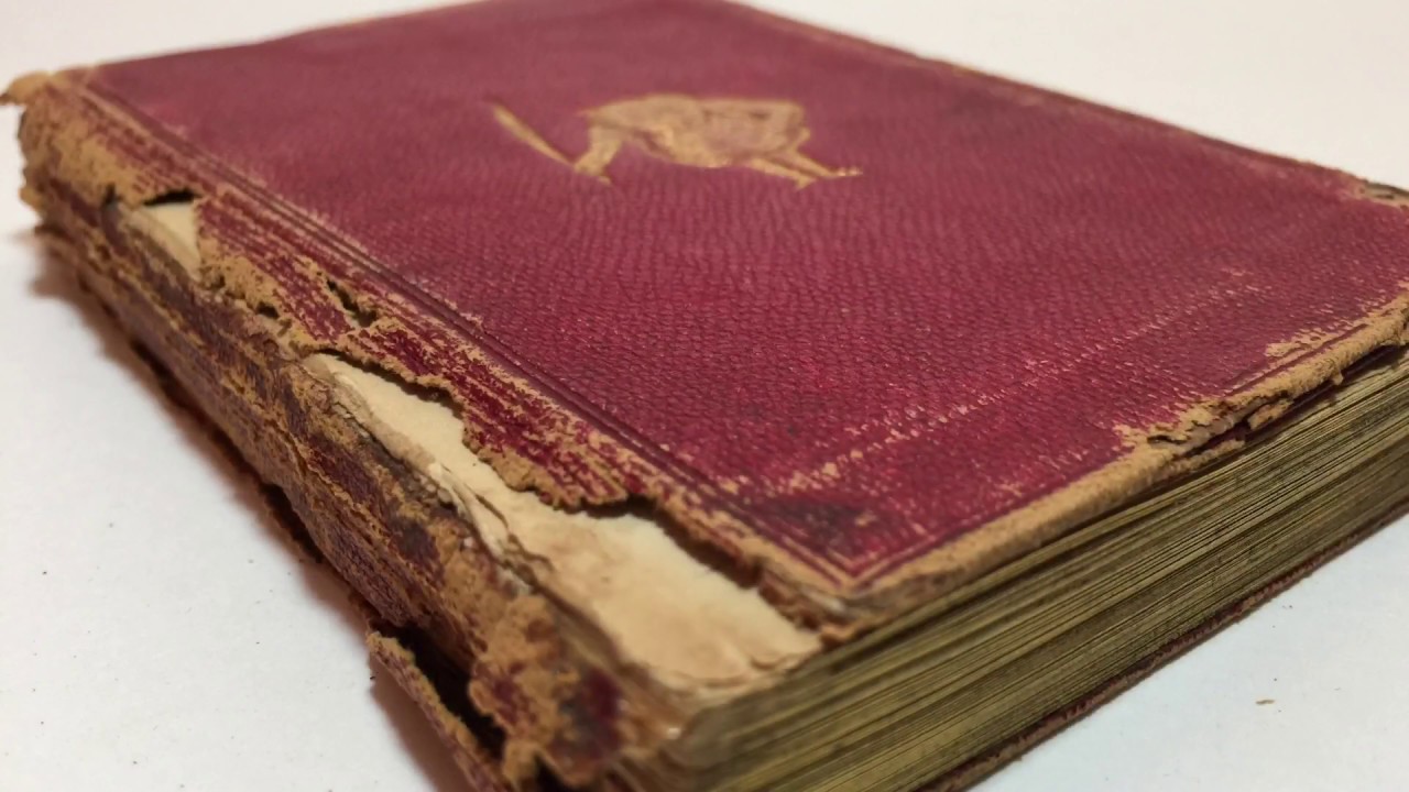 Punch's Pocket Book (1872) - A History of Words & Pictures: