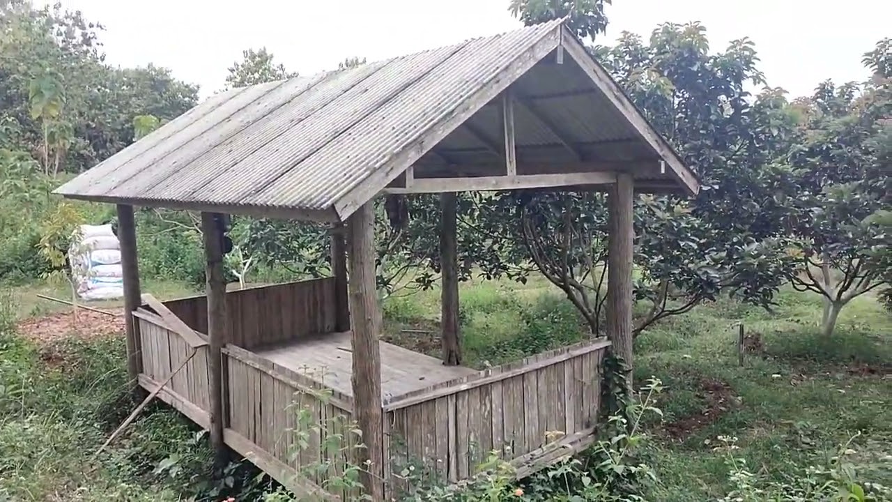 Progress Tanaman Duren & Alpukat Unggul s.d 22 Februari 2026