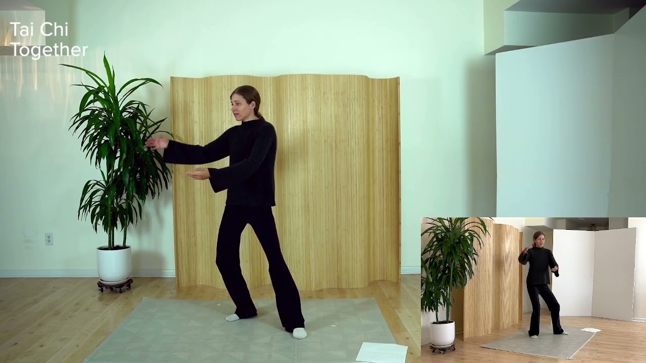 3   Beginning of Yang Style  Third Tutorial   Grasping Sparrow's Tail