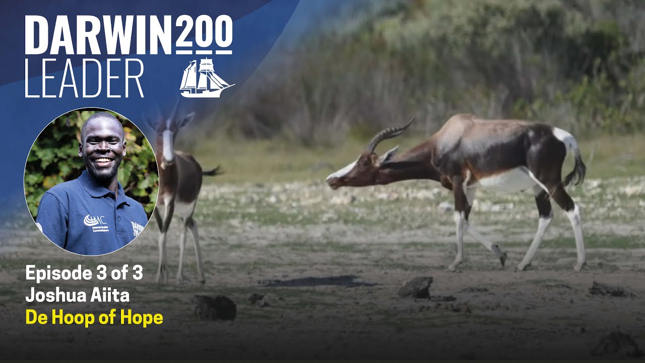 De Hoop Bontebok of Hope - by Joshua Aiita - Episode 3