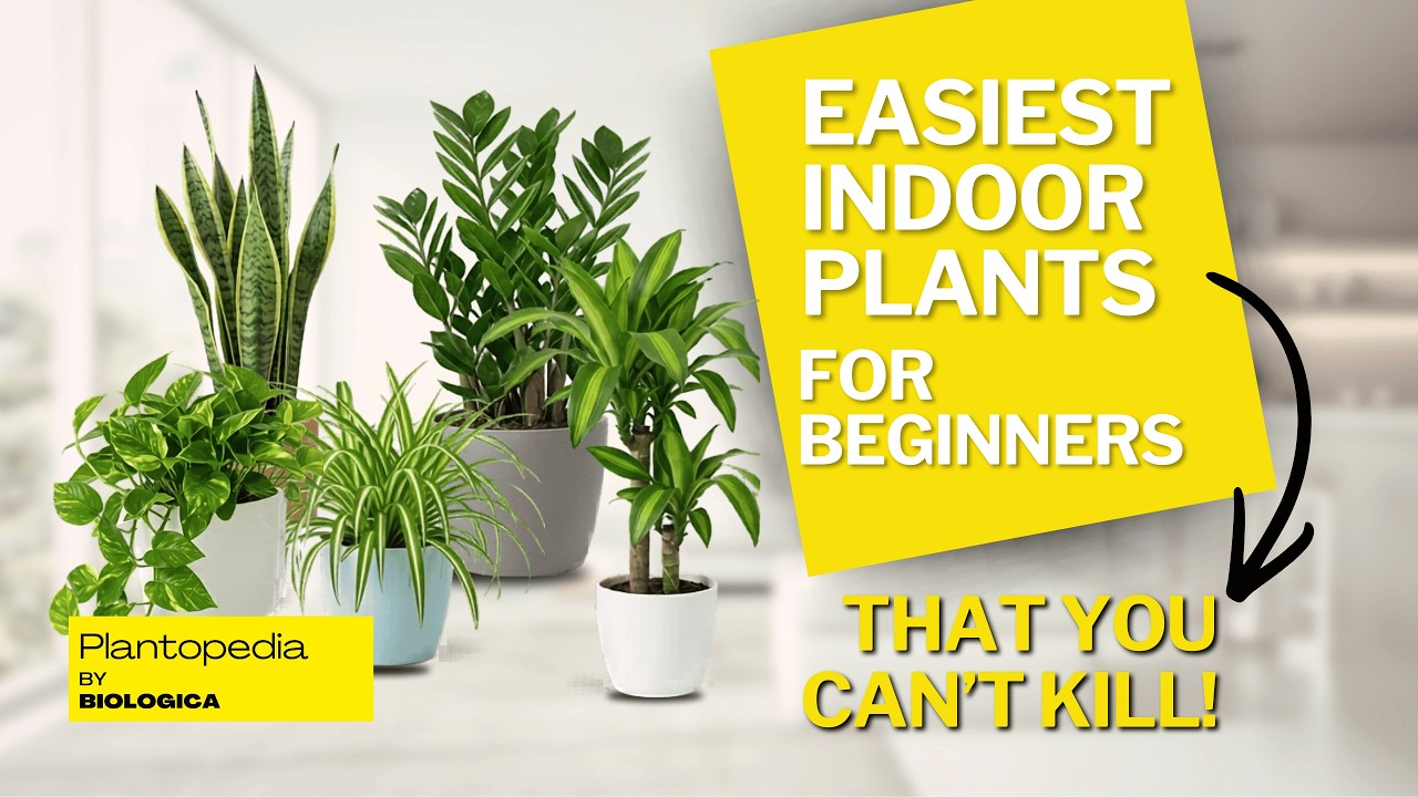 Start Your Jungle With These 5 
