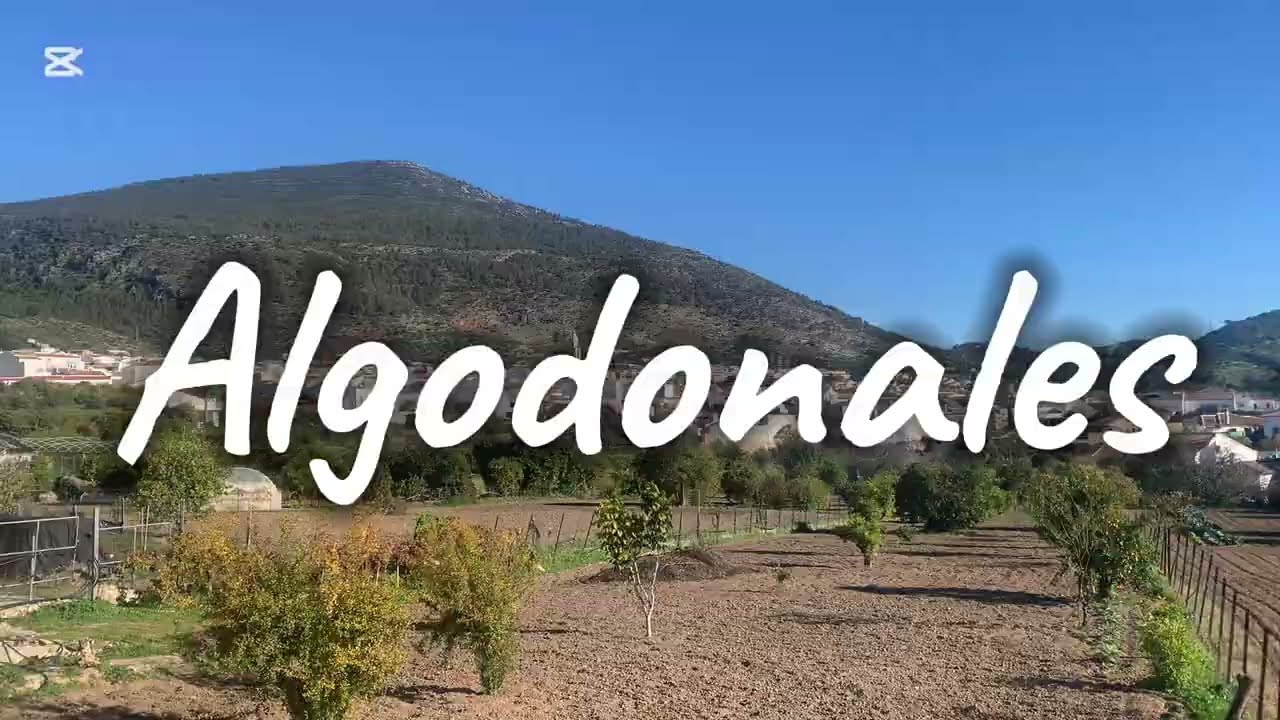 Algodonales