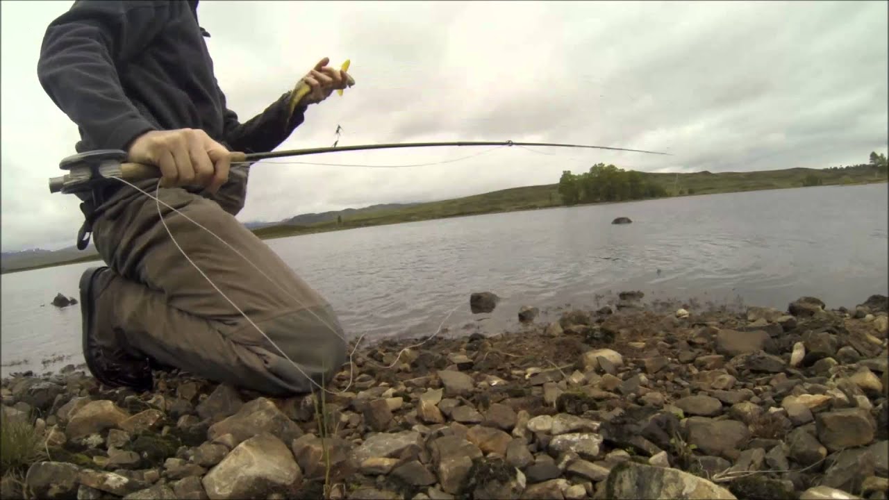 Brown Trout in Scotland's Wilderness