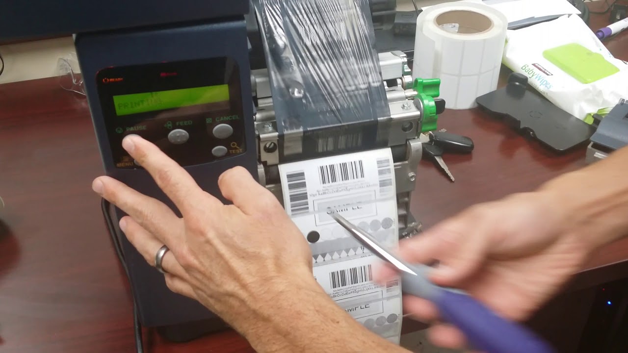 Datamax Maintenance   Print Head Alignment