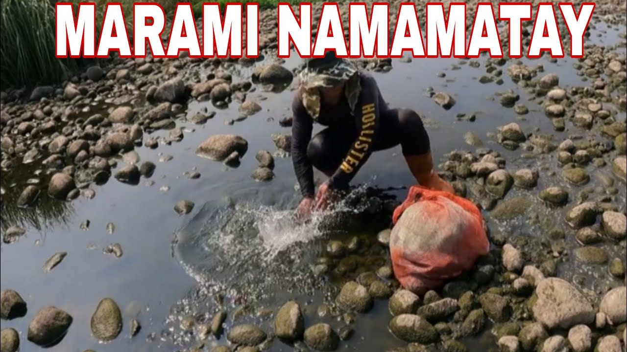 Na mamatay na ung iba dahil natutuyoan na sila