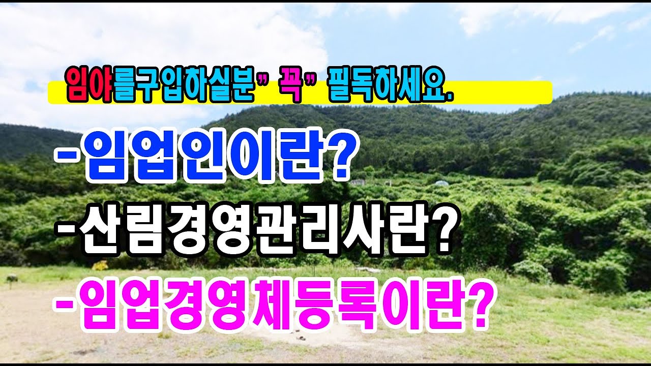 🏕임야를 구입하실분 꼭 필독하세요[임업경영체][산림경영관리사]🏞(임업인이란?산림경영관리사란?임업경영체등록이란?~