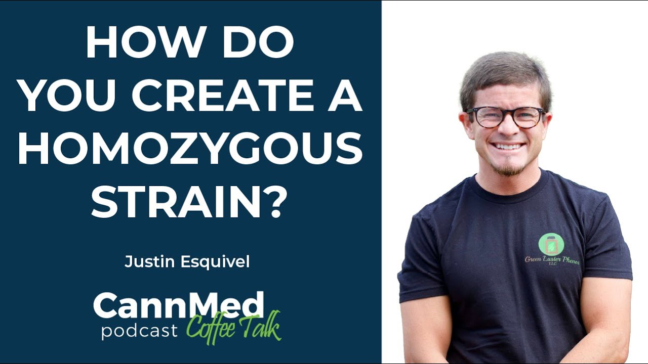 How Do You Create a Homozygous Strain?