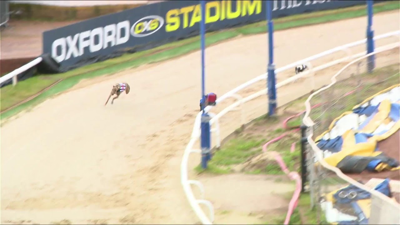 Oxford Stadium Greyhounds Live Trial Session 27/01/26