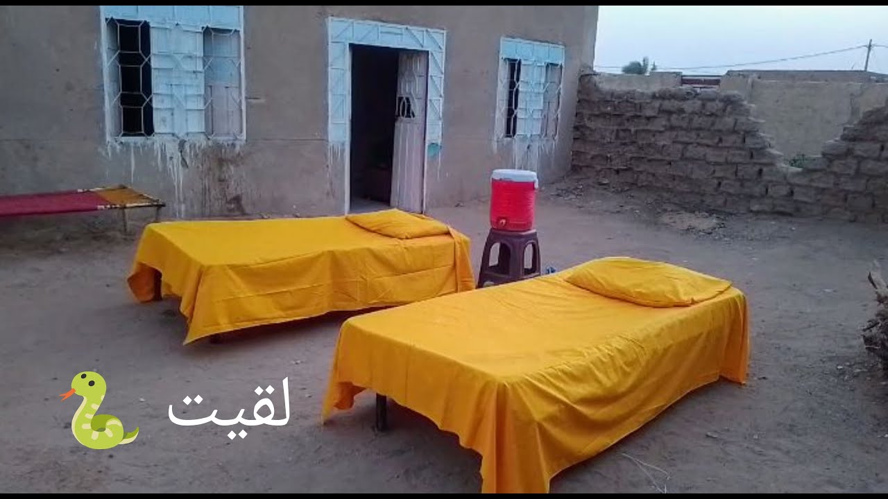 اول روتين ف البيت الجديد 💪بديت بتنظيف الحوش🇵🇸