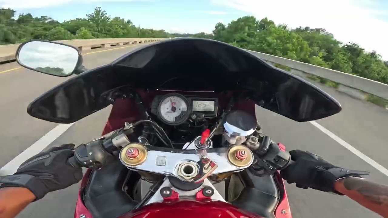 Two Sharks in a River Gsxr1000 and Gsxr750 