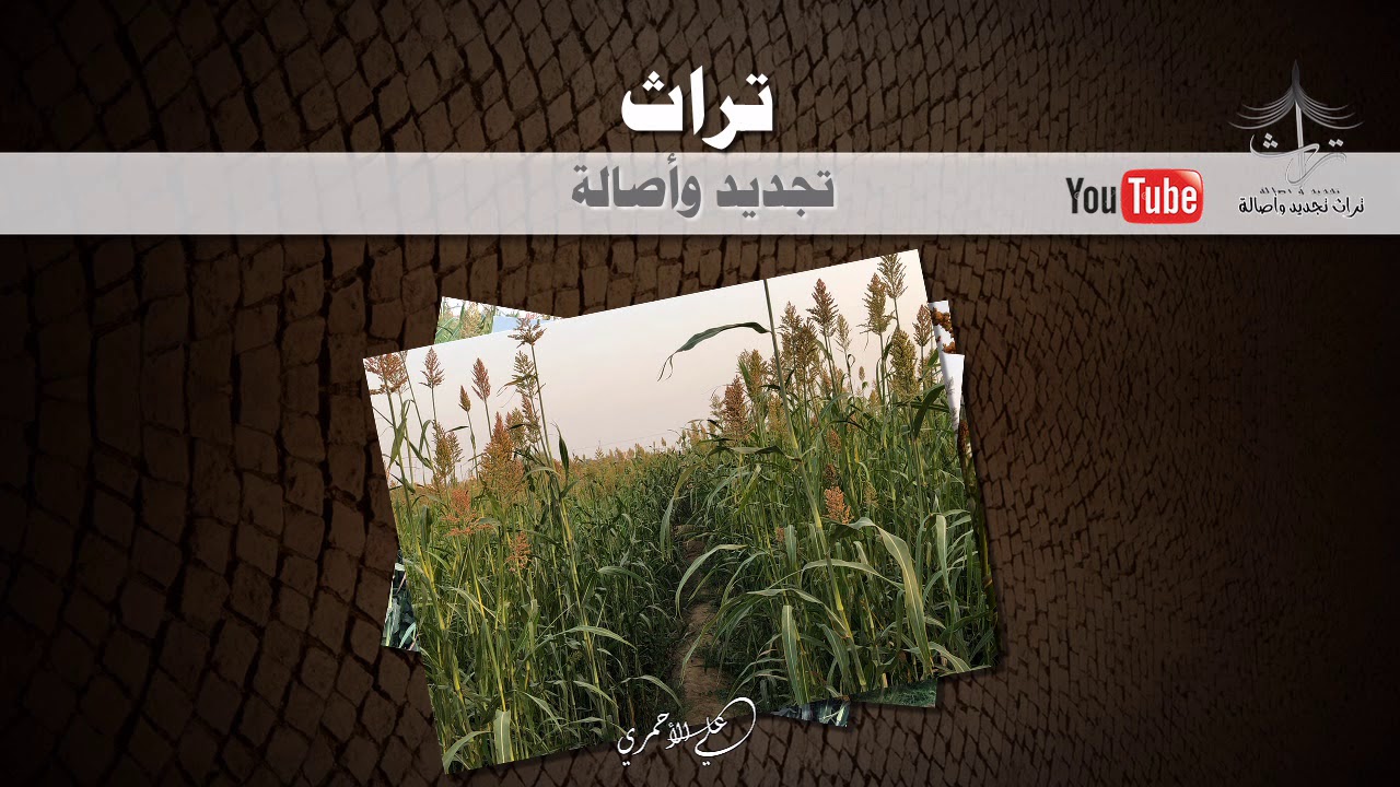مزميرة رووووعة