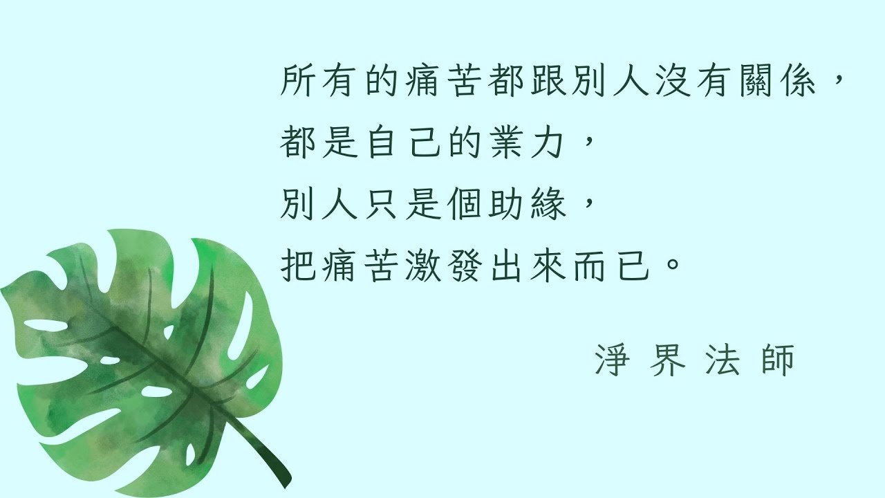 所有的痛苦都跟別人沒有關係，都是自己的業力，別人只是個助緣，把痛苦 激發出來而已。  #淨界法師  #正見基礎