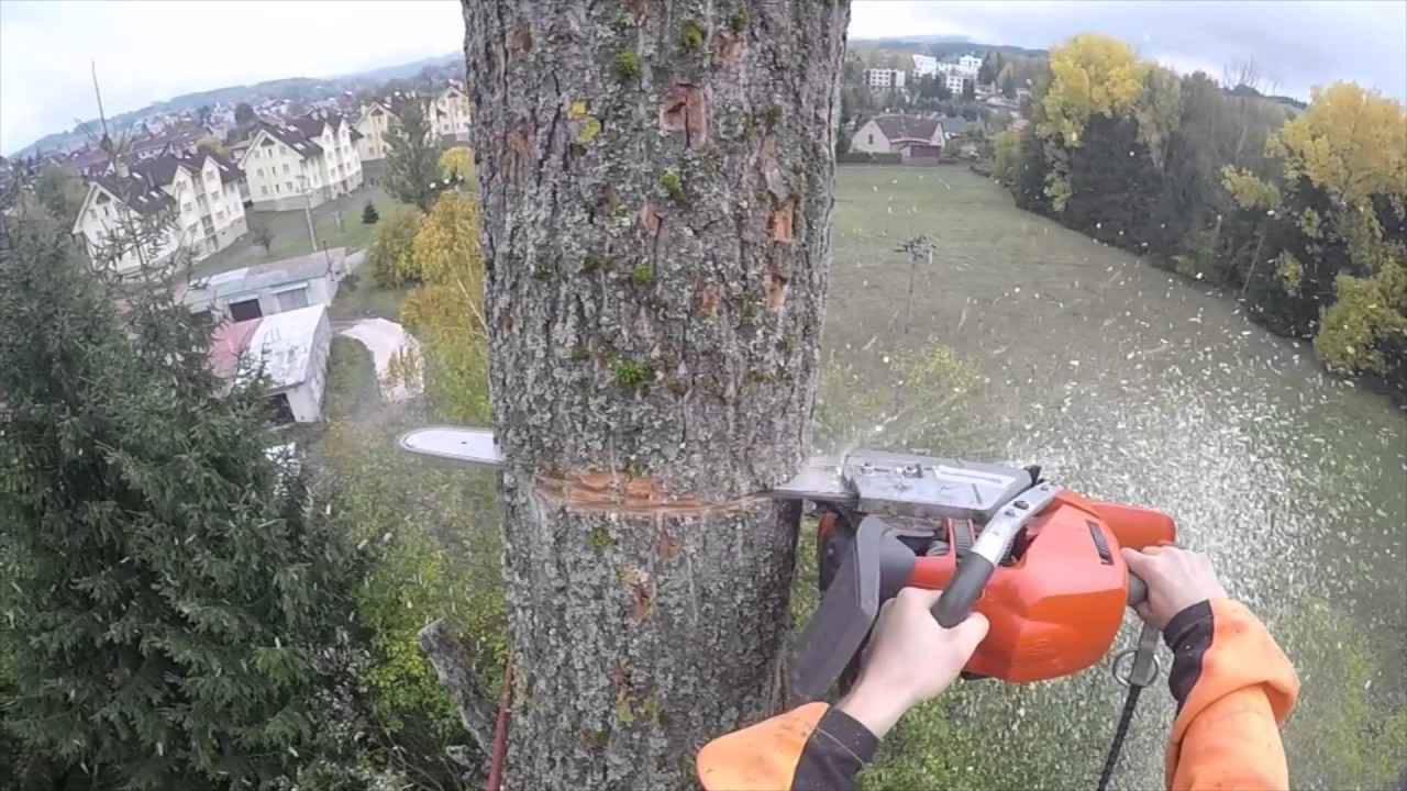 Kácení Bez Rizik-Stromolezení 6