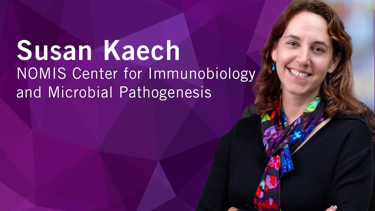 From Then to When | Meet Salk Scientists | Susan Kaech