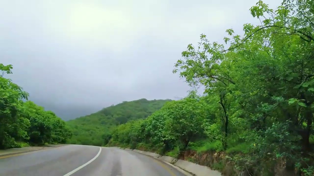 Monsoon Drive Through the Misty Green Hills in Salalah.