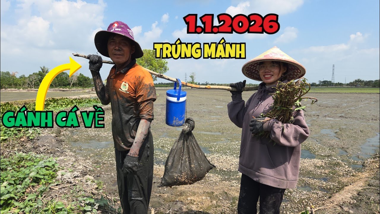 Đầu Năm 2026, Chạm Mặt Nhiều Hang Cá To Cha Con Gánh Về Luôn_Nấu Cơm Củi Ăn Ở Đồng...| ONMT #Tập 161